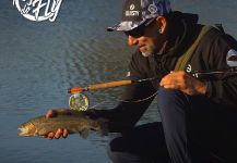 Kid Ocelos 's Fly-fishing Photo of a Rainbow trout | Fly dreamers 