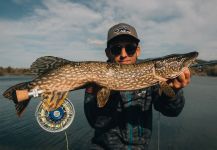 Luka Šimunjak 's Fly-fishing Pic of a Pike | Fly dreamers 