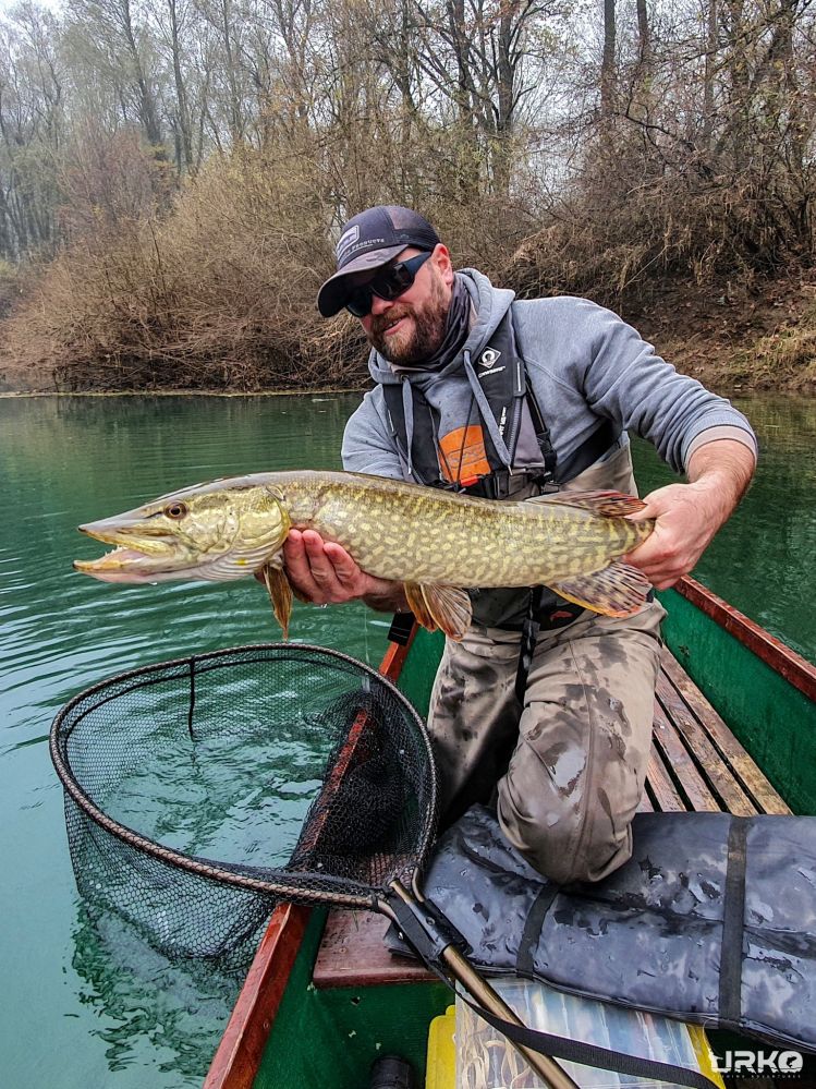 Not only that hucho hucho fishing is hot right now. Pike is hammering it big time, too!!!