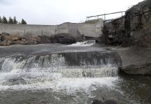 Klamath Dam Removals