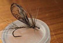 Fly for brown trout - Picture by Walter Engelke | Fly dreamers 
