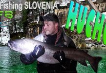 European Monster Hucho-Hucho Salmon on a Flyrod!