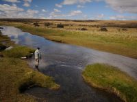 Fly fishing picture