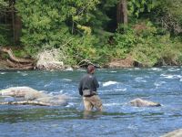 Fly fishing picture