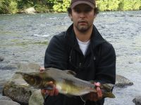 Fly fishing picture