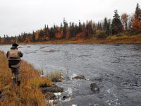 Chavanga salmon fishing