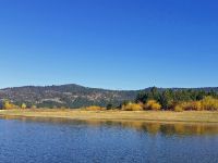 Willows and Cottonwoods light up the shoreline