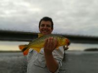 Fly fishing picture