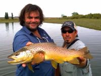 Friend and fisherman Lauren Le Flanchec left Limay River Lodge today. During 6 straight days he averaged 50 fish a day, both rainbows and browns between 20 and 26 inches. All fishing was done with floating lines, mainly dry flies (attractors, parachute pa