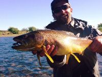 Friend and fisherman Lauren Le Flanchec left Limay River Lodge today. During 6 straight days he averaged 50 fish a day, both rainbows and browns between 20 and 26 inches. All fishing was done with floating lines, mainly dry flies (attractors, parachute pa