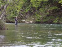 Foto de pesca con mosca