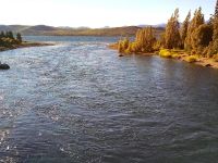 Foto de pesca con mosca