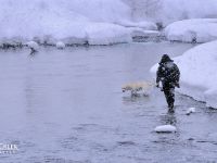 Fly fishing picture