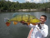 Fly fishing picture