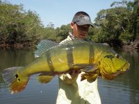 Foto de pesca con mosca