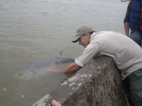 Foto de pesca con mosca