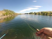 Fly fishing picture