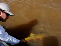 Foto de pesca con mosca