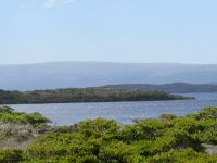 El Lago navarino