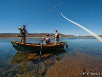 Fly fishing picture