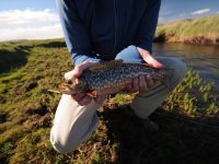 Foto de pesca con mosca