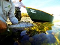 Foto de pesca con mosca