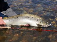 Foto de pesca con mosca