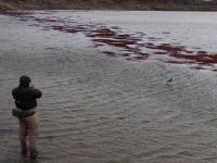 Foto de pesca con mosca