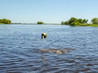 Foto de pesca con mosca