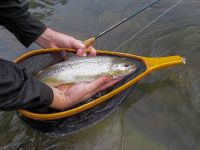 Foto de pesca con mosca