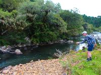 Fly fishing picture