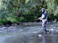 Fly fishing picture