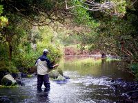 Fly fishing picture