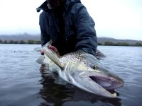 Foto de pesca con mosca