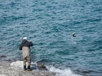 Foto de pesca con mosca