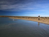 Fly fishing picture