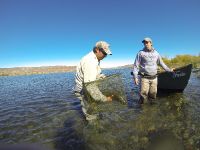 Fly fishing picture