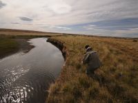 Fly fishing picture