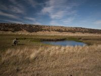 Fly fishing picture