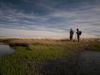 Fly fishing picture