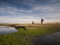 Fly fishing picture