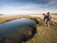 Fly fishing picture