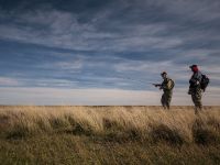 Fly fishing picture