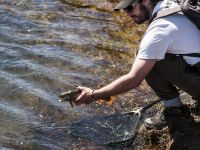 Fly fishing picture