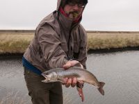 Fly fishing picture