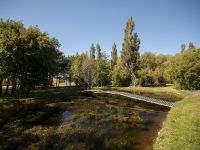 Fly fishing picture