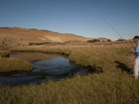 Fly fishing picture