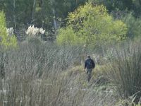 Foto de pesca con mosca