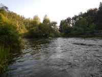 At 7.00 am the fish was already picking flies from the surface.