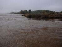 Foto de pesca con mosca